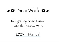 ScarWork Manual